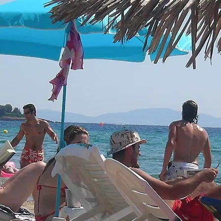 In Bb - Welcome To Petunia, In Neos-marmaras,xalkidiki ,greece, Double 5 Gæstehus *